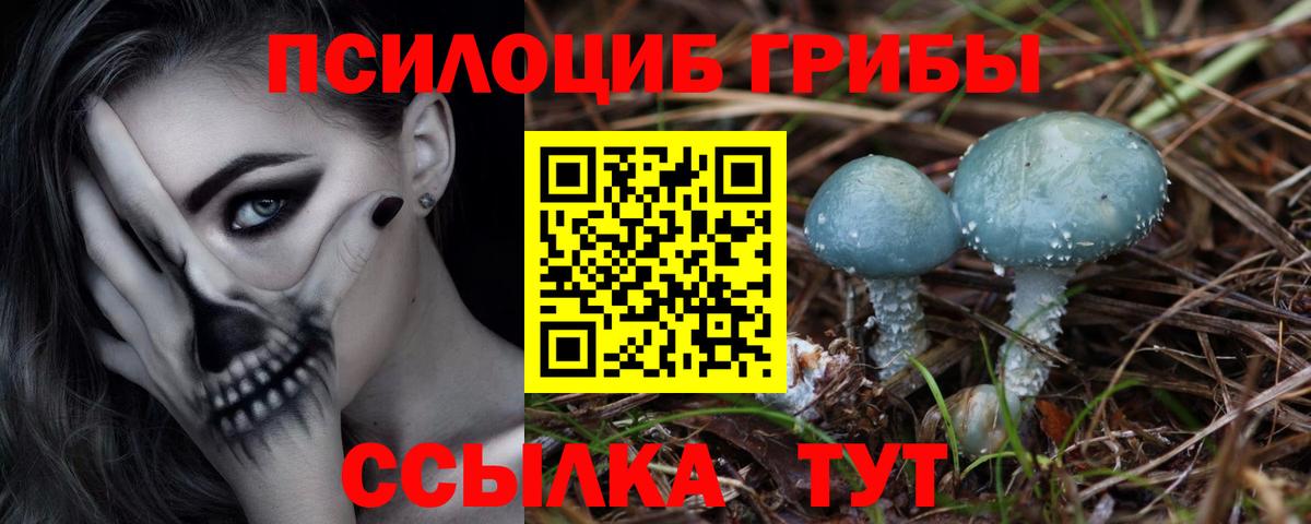 Псилоцибиновые грибы прущие грибы  Вход с VPN  Ишимбай 