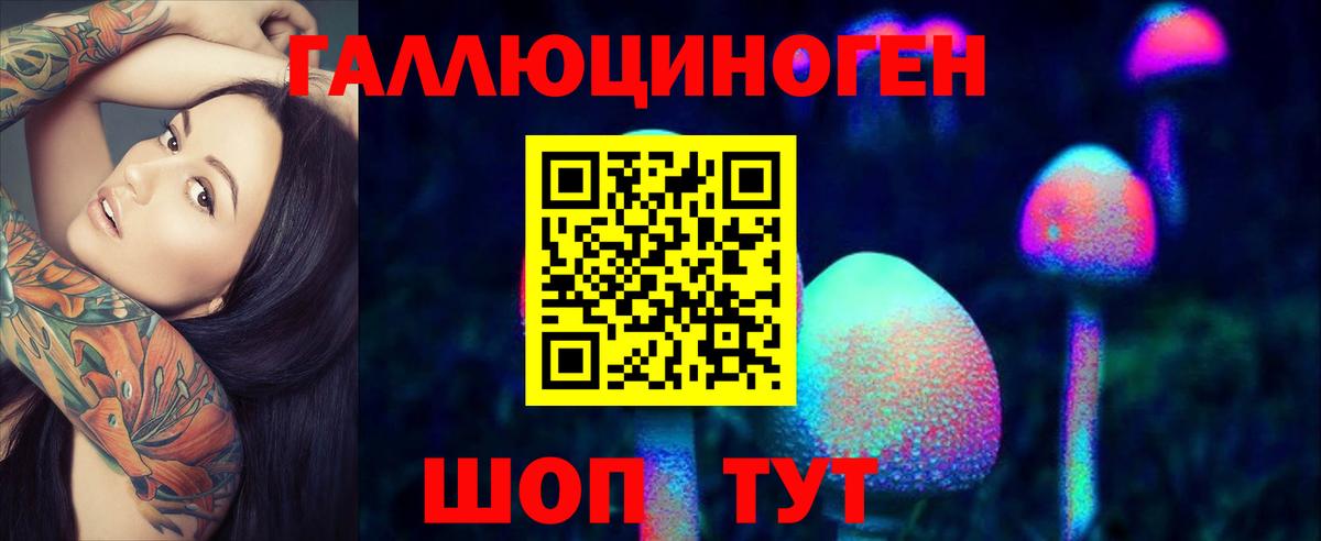 Псилоцибиновые грибы Psilocybine cubensis Ишимбай